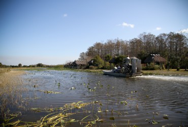 Airboat Ride in Everglades