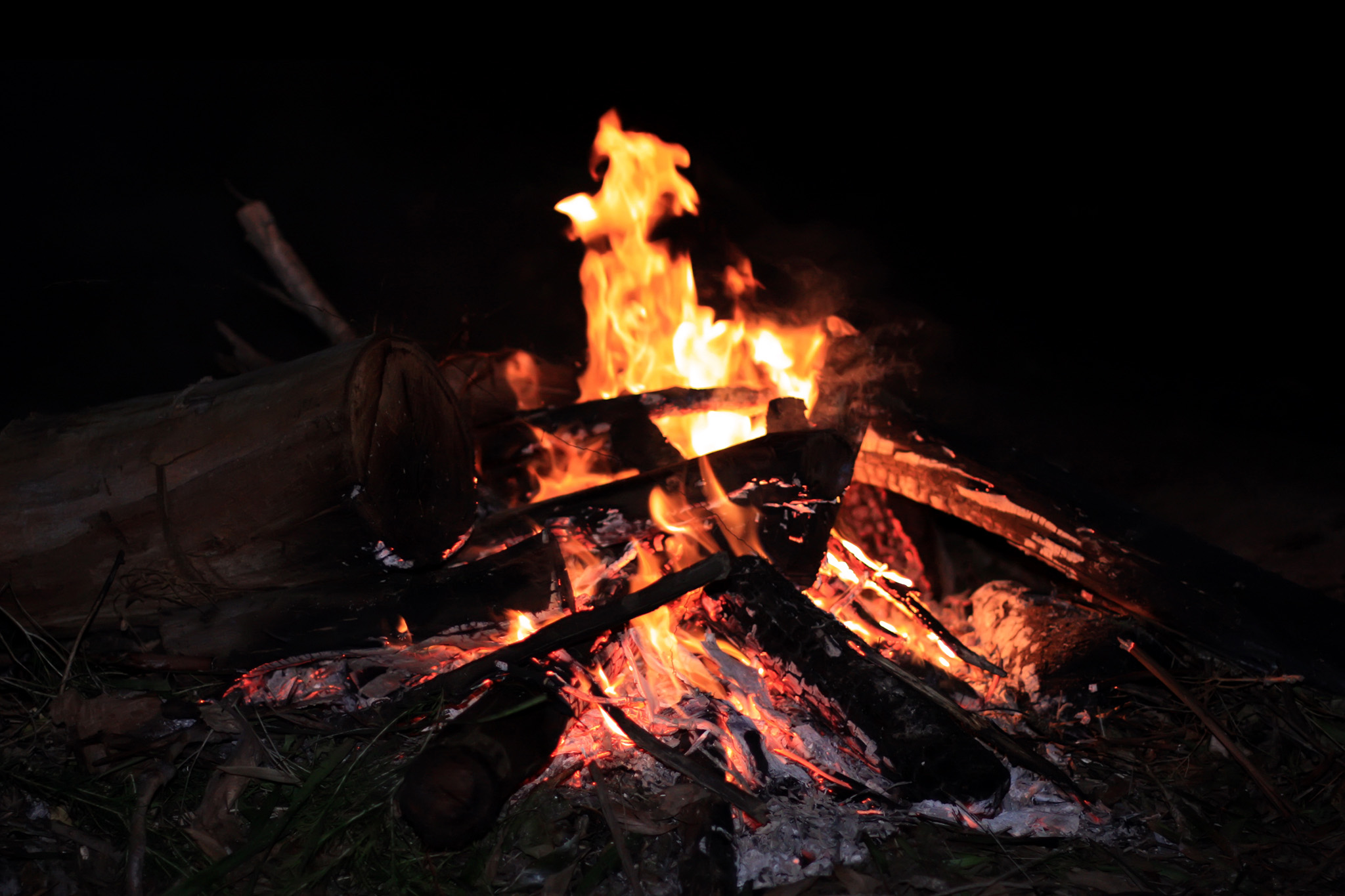 Campfire & Storytelling tour in the Everglades