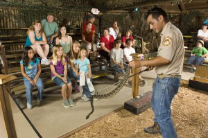 Snake Show in the Florida Everglades