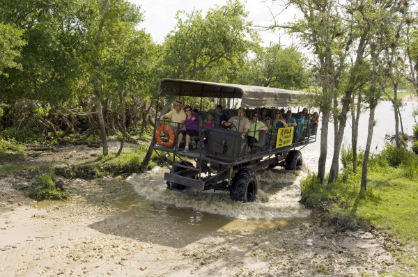 swamp buggy rides