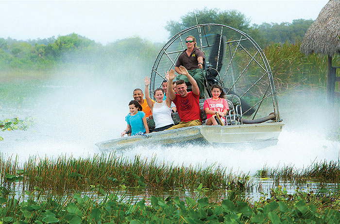 Everglades Activities for Kids